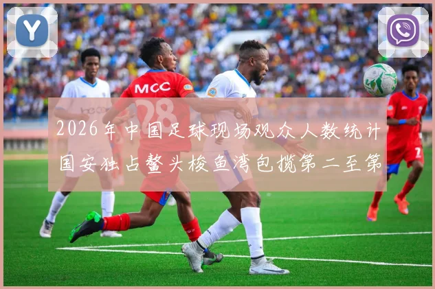 2026年中国足球现场观众人数统计国安独占鳌头梭鱼湾包揽第二至第七位